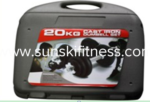 20kg paint dumbbell set